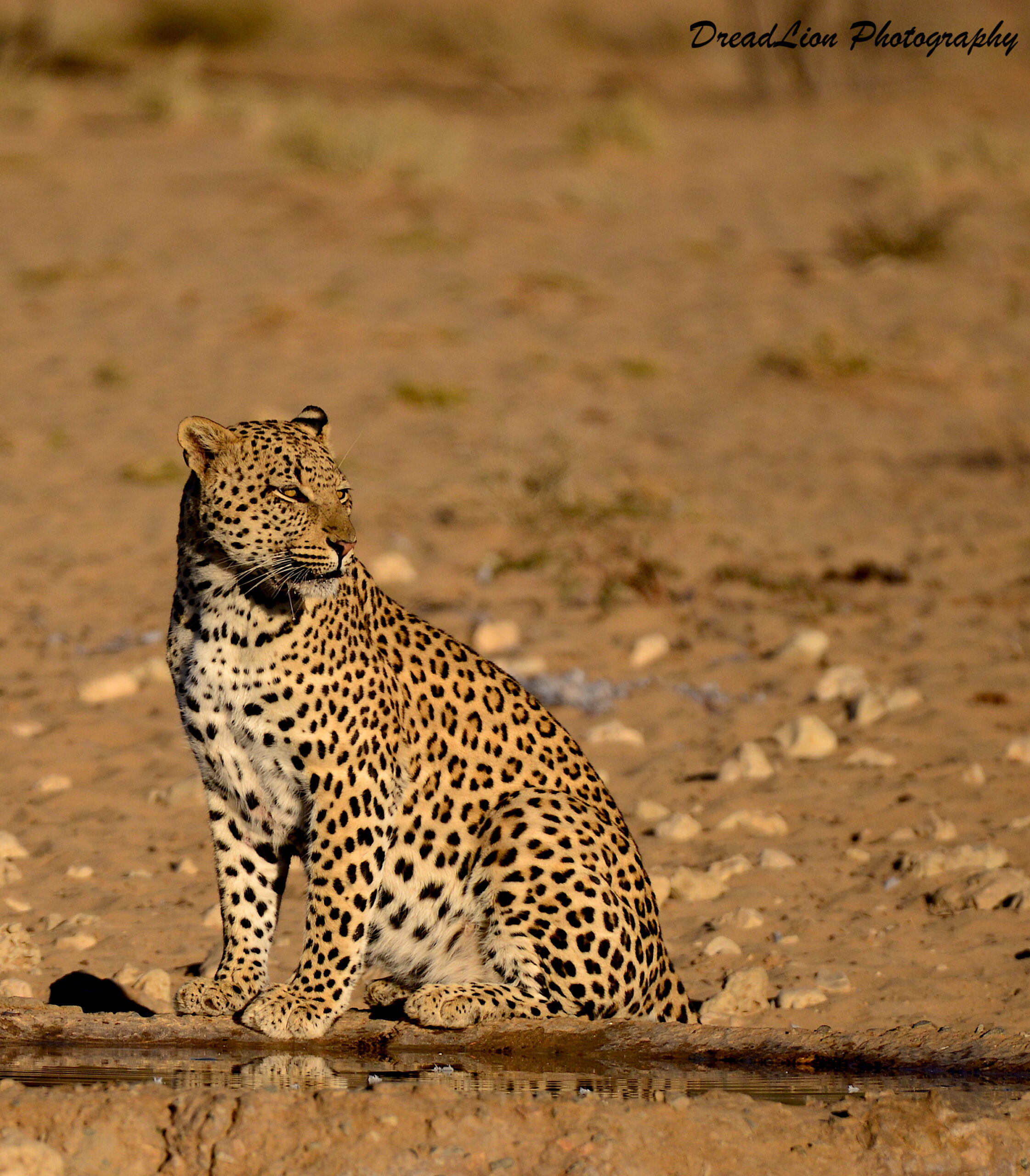 Botshelo at the waterhole