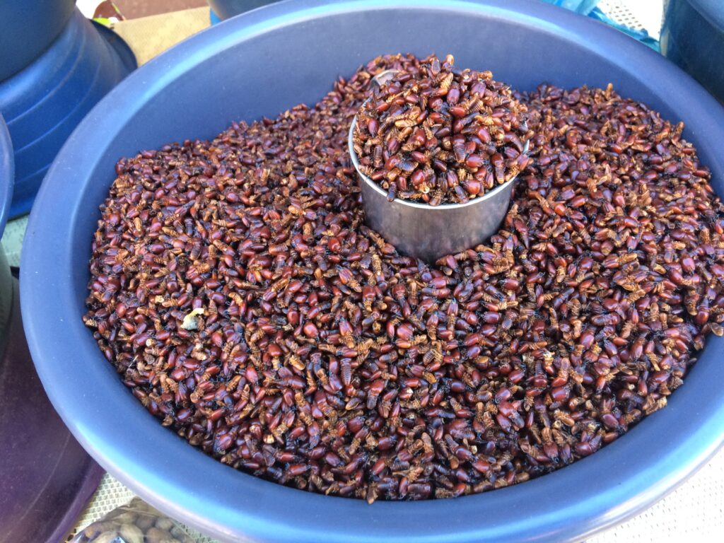 dried termite alates, ready for selling and eating